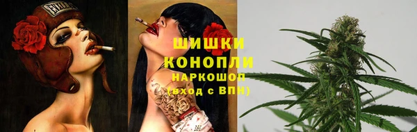 spice Бородино