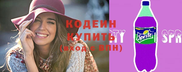 spice Бородино