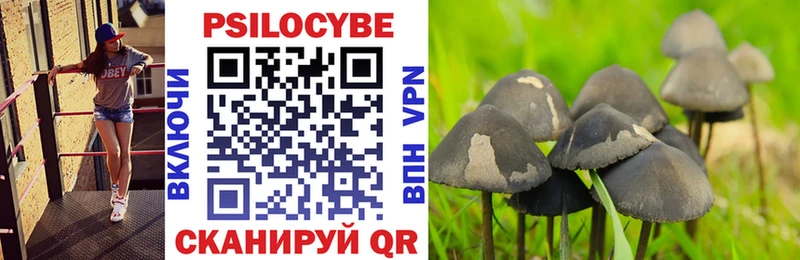Галлюциногенные грибы мухоморы  что такое   Верхняя Пышма 