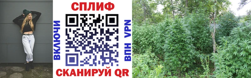 купить   Верхняя Пышма  shop какой сайт  МАРИХУАНА THC 21% 